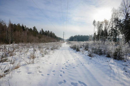 冬季景观中空旷的积雪路面