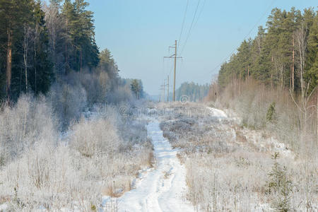 冬季景观中空旷的积雪路面