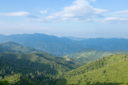 小山 自然 薄雾 季节 环境 春天 夏天 旅行 场景 高的