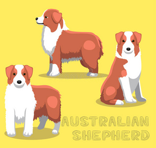 澳大利亚牧羊犬卡通矢量插图