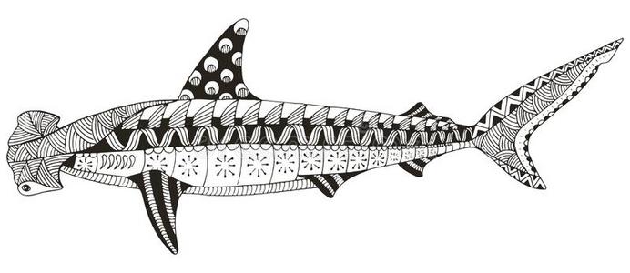 锤头鲨锤头鲨zentangle程式化,矢量,插图,图案,徒手铅笔,手绘.照片