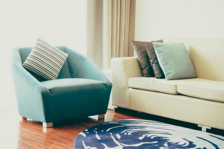 安慰 奢侈 沙发 客厅 放松 房子 滤波器 颜色 枕头 活的