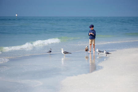 可爱的小男孩在热带海滩喂海鸥