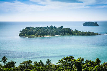 奢侈 海滩 求助 目的地 全景 气候 环礁 假期 场景 椰子