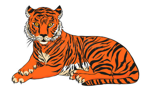 老虎卡通矢量图图片