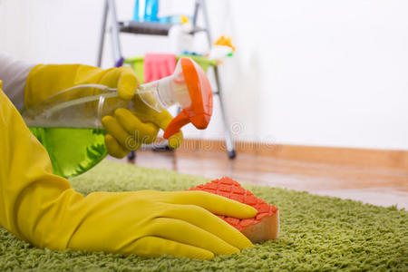 毛茸茸的 特写镜头 清理 清洁剂 地毯 打扫 家庭主妇 消毒