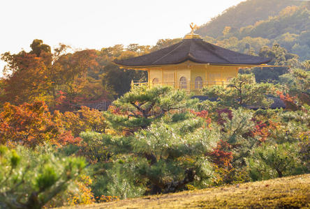 美女 花园 建筑 佛教 遗产 风景 地标 亭台楼阁 文化