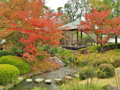 灰浆 花园 兵库 阳台 日本人 树叶 植物 自然 亚洲 公共关系