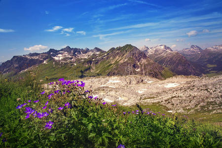 国家 阿尔卑斯山 森林 奥地利 地标 颜色 欧洲 高的 乡村