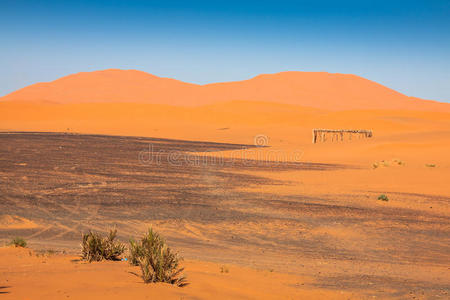 阿拉伯 探索 自然 空的 波斯语 摩洛哥 孤独 沙丘 沙漠