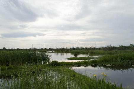 西班牙 吉罗纳 储备 风景 植物区系 公园 天空 活动 地中海