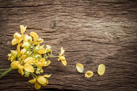 花束 树叶 形象 乡村 材料 古老的 自然 花瓣 卡片 分支