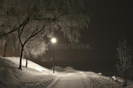 颂歌 薄雾 美丽的 冷冰冰的 美丽地 条件 瑞典 寒冷的