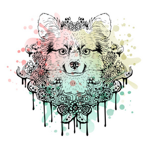 黑白动物狗头,抽象艺术,纹身,涂鸦. 水彩背景.照片