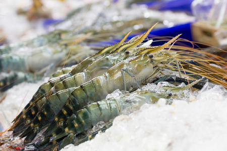 对虾 食物 烹饪 饮食 美味的 晚餐 甲壳类动物 鸡尾酒