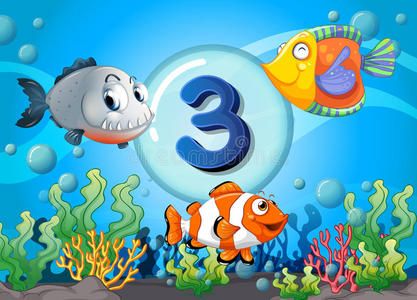 闪存卡三号,水下有3条鱼照片