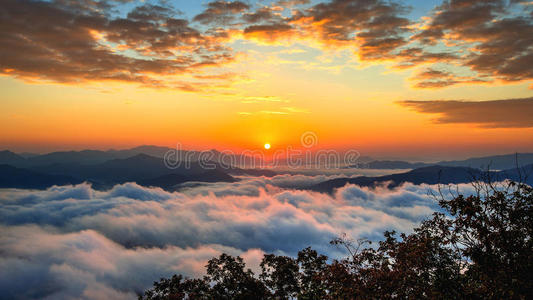 森林 韩国人 峭壁 韩国 早晨 枫树 公园 共和国 树叶