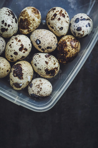自然 复活节 鸡蛋 食物 特写镜头 春天 鹌鹑 生活 稻草