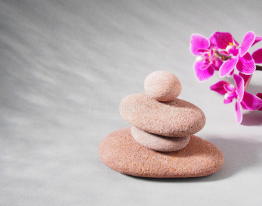 佛教 运动 冥想 喜欢 自然 平衡 放松 介意 能量 日本人
