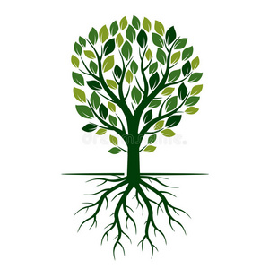 绿色的春天树和根. 矢量插图.树根和苔藓部分植物.