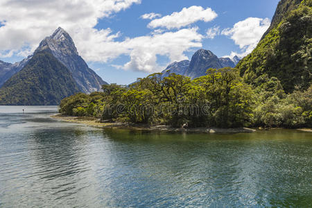 新的 环境 风景 声音 公园 灌木 峡湾 南方 黄昏 目的地