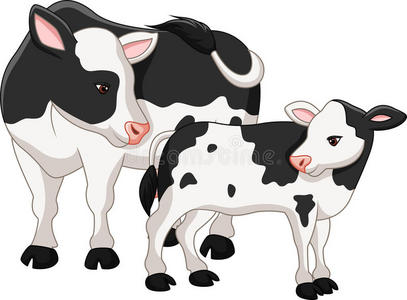 可爱的牛妈妈和小牛照片