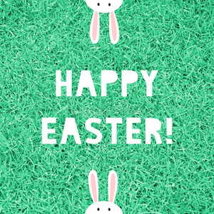 卡片 动物 庆祝 复活节 植物 兔子 艺术 领域 春天 纹理