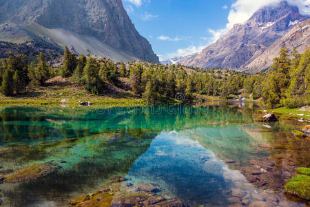 全景图 美丽的 范围 反射 环境 森林 春天 天空 风景