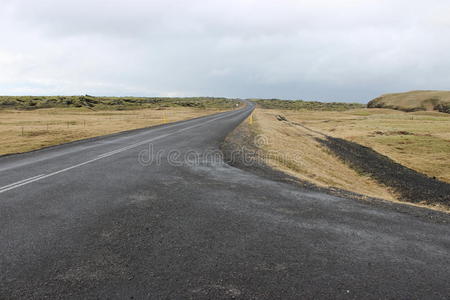 基础设施 生态系统 公路 公里 车道 生态区 平原 开车