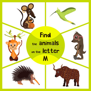 有趣的学习迷宫游戏，找到所有3种可爱的野生动物与字母m，田鼠，猕猴热带和食虫m