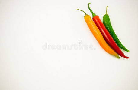 对待 香料 蔬菜 植物 厨房 辣椒 墨西哥 成长 辣椒粉