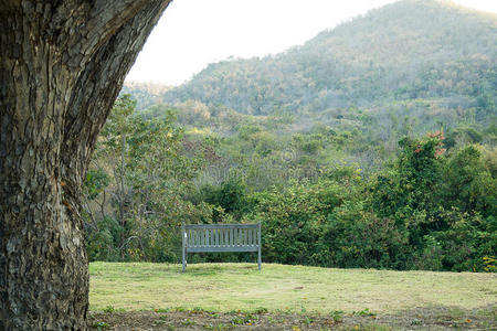 绿色的森林和山地自然景观，一张椅子放松