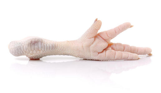 鸡爪手图片-鸡爪手素材-鸡爪手插画-摄图新视界