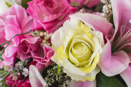 粉红色 花束 开花 纹理 花的 颜色 植物学 情人 自然
