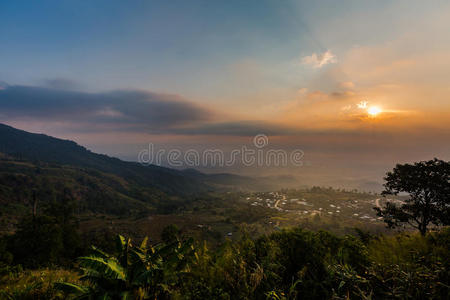 自然 日出 日落 公园 树叶 春天 风景 薄雾 伯克 早晨