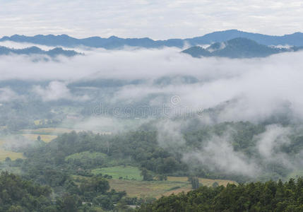 小山 薄雾 天空 早晨 泰国 山谷 全景图 高地 森林 旅行