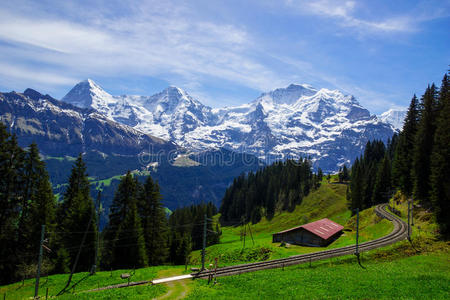 风景 阿尔卑斯山 步行 自然 轨道 徒步旅行 森林 火车