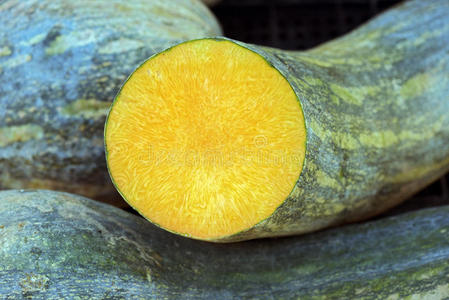 农业 消费者 分布 葫芦 水果 平底锅 甜的 食物 南瓜