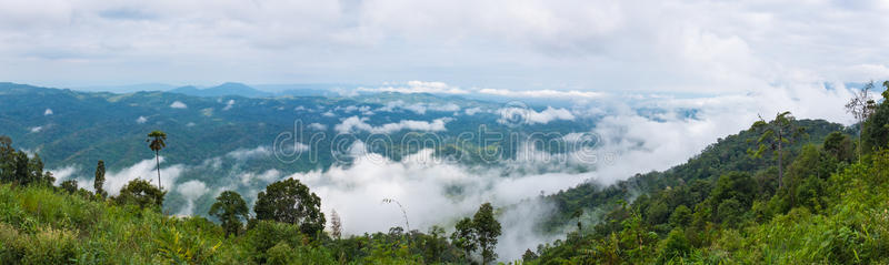 土地 公园 风景 郁郁葱葱 自然 景观 全景图 场景 帕诺