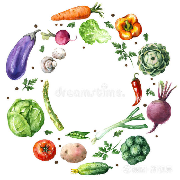 菜单 框架 甜菜 茄子 市场 收获 烹调 绘画 饮食 食物