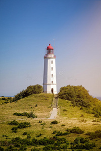 海洋 灯塔 草地 悬崖 德国 夏天 自然 海岸 国家的 希思