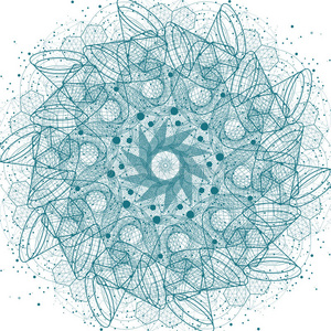 要素 花瓣 圆圈 冥想 插图 曼陀罗 数学 进化 炼金术