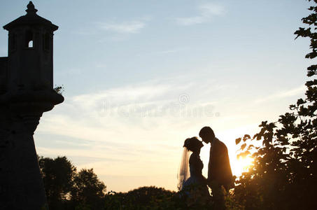 欧美艳星安温柔的夫妇牵手和亲吻背景城堡安照片