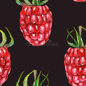 水彩树莓的无缝图案