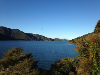 海岸与峡湾，新西兰