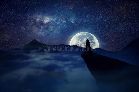 霸气孤独狼图片