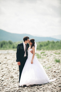 美丽的新婚夫妇亲吻和拥抱在一条河边的石头