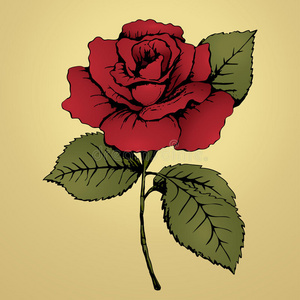 手绘花瓣图片-手绘花瓣素材-手绘花瓣插画-摄图新视界