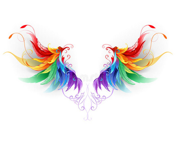 蓬松的彩虹翅膀照片