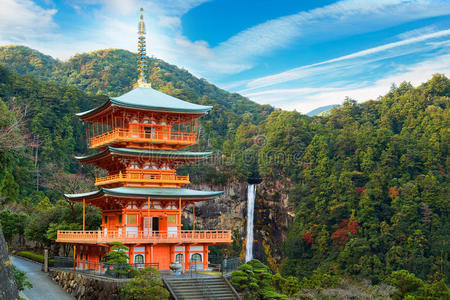 小野猫 自然 佛教徒 场景 宝塔 关西 宗教 胜村 佛教